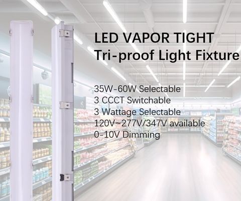 에너지 절감 2ft/4ft/5ft/8ft Tri-proof Light 50000시간 수명 및 IP66 IK10