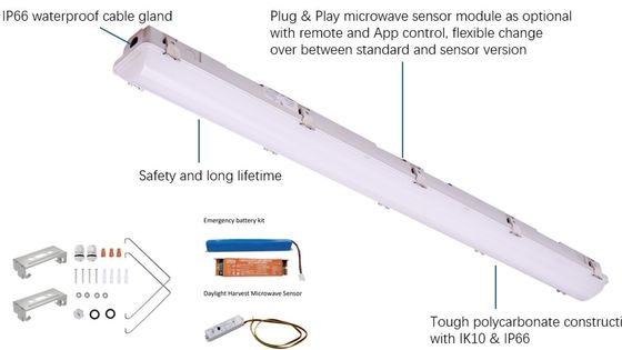 산업용 LED 트리 프로프 라이트 IP66 IK10 2ft/4ft/5ft/8ft 120-277V/120-347V 입력 전압