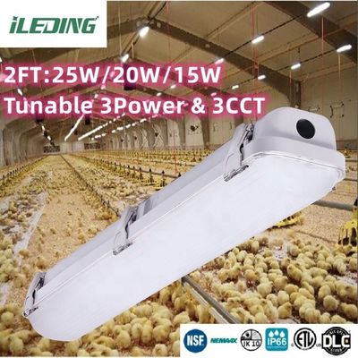 80 Ra LED 증기 밀착 2ft 3CCT 선택 가능한 LED 증기 밀착 IP66 연결 가능한 조명