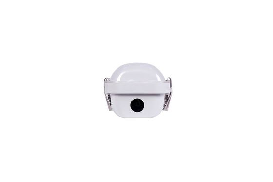 AC 110V ± 10% 입력 전압 산업용 60W 4' LED 선형 트리 불빛 날씨 방지
