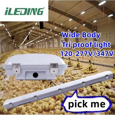 IP67 155W 4FT 1.2M LED 증기 단단한 산업 창고 습기 방지용 트리-프로 라이트