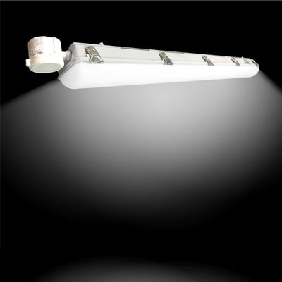 맞춤형 NSF NEMA4X 먼지 방지 삼성 LED 램프 135lm/w DIALux evo 조명